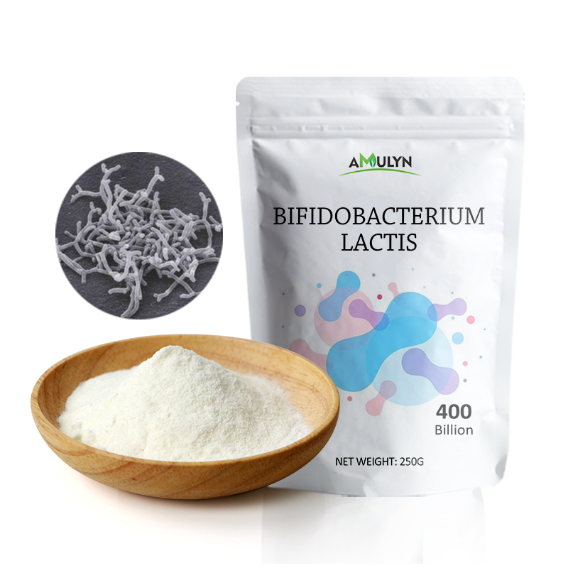 Bifidobacterium Lactis Probiotics Powder