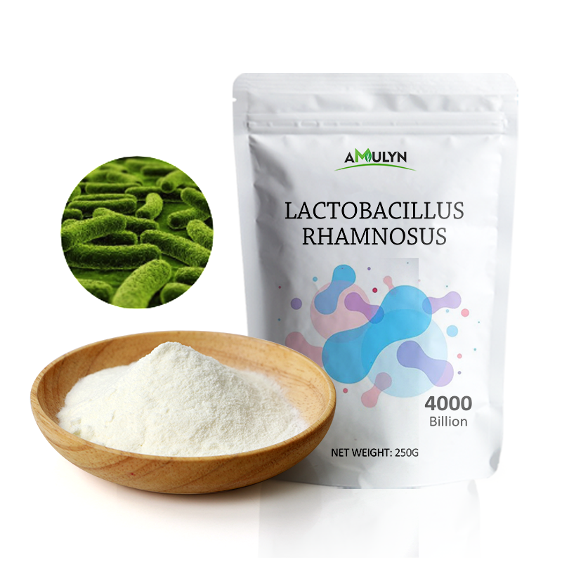 lactobacillus Rhamnosus Probiotics Powder