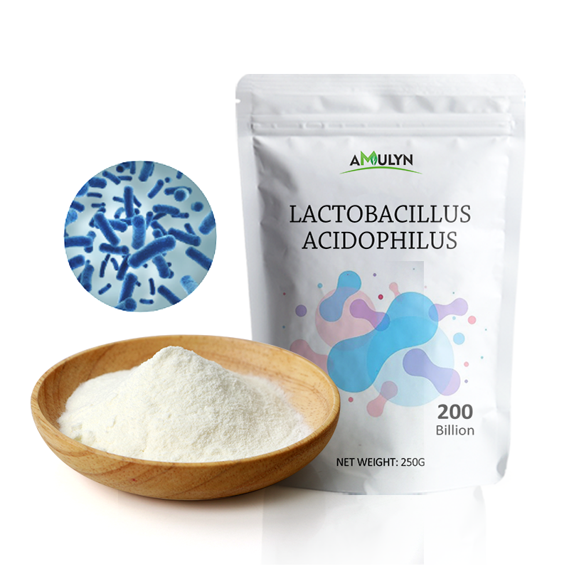 Lactobacillus Acidophilus Probiotics Powder
