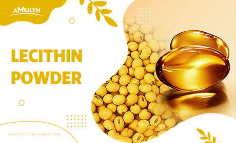 AMULYN's Non-GMO Soy Lecithin Powder: Versatile Applications in Food and Nutraceuticals