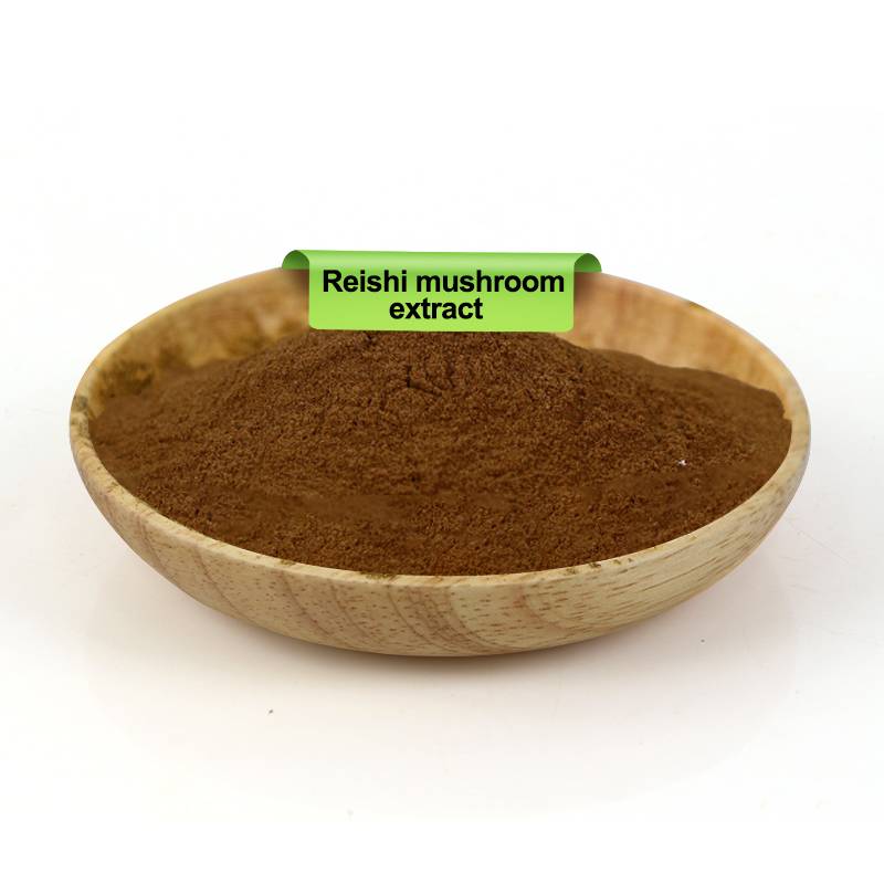 Reishi Mushroom Powder
