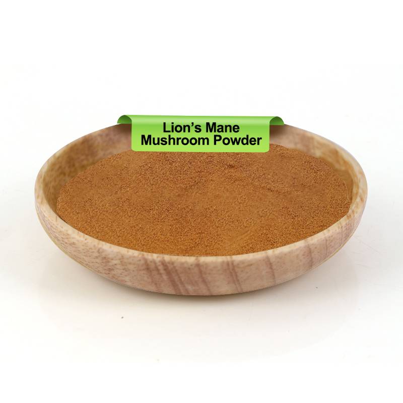 Lion's Mane Mushroom Powder