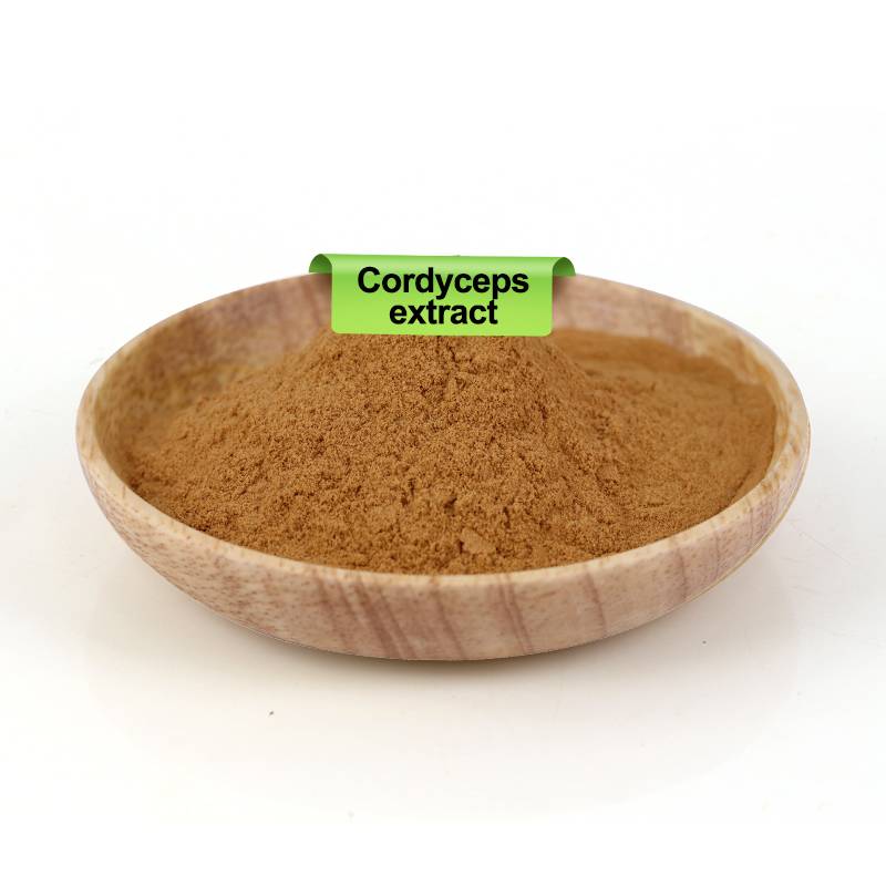 Cordyceps Militaris Powder