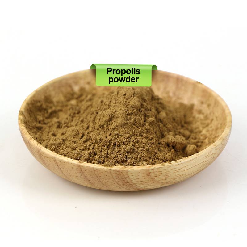 Propolis Powder