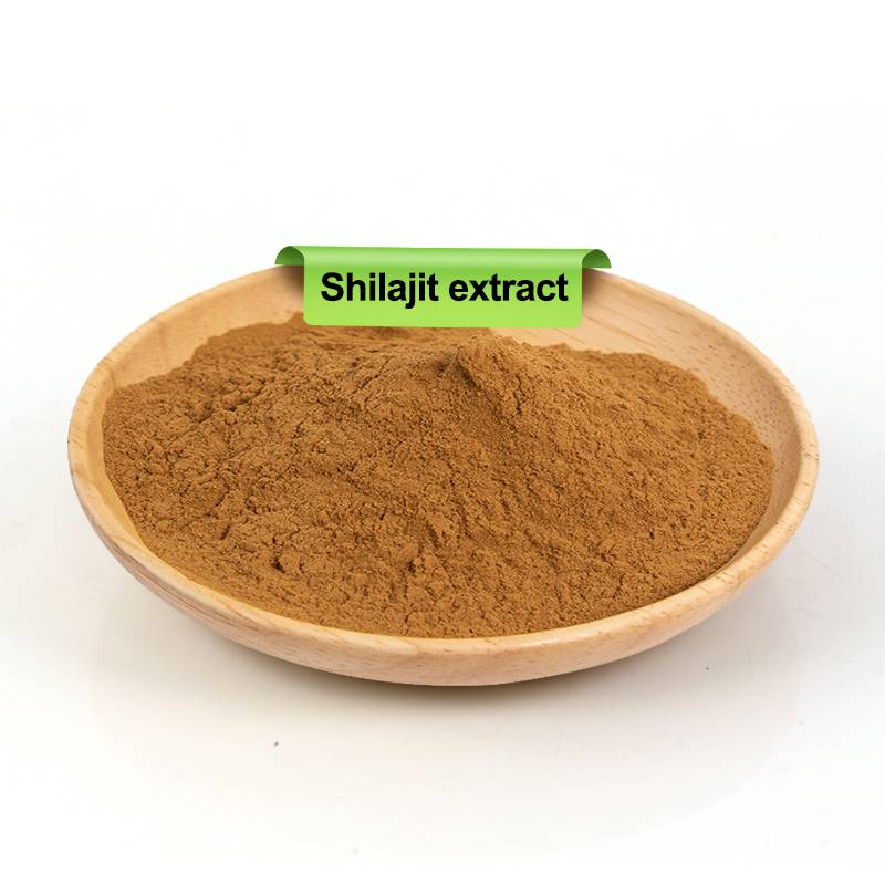 Shilajit Extract