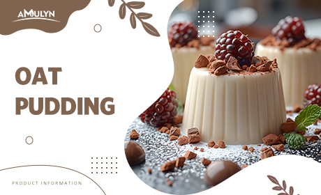 Oat Pudding：Healthy Dessert Options