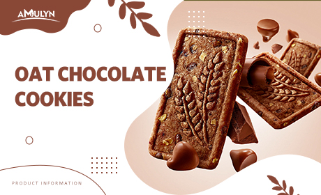 Discover the perfect snack for weight loss - Oat Chocolate Cookies