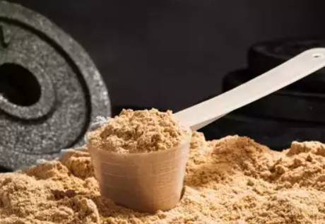 AMULYN Pea Rice Protein For Exercise Supplement