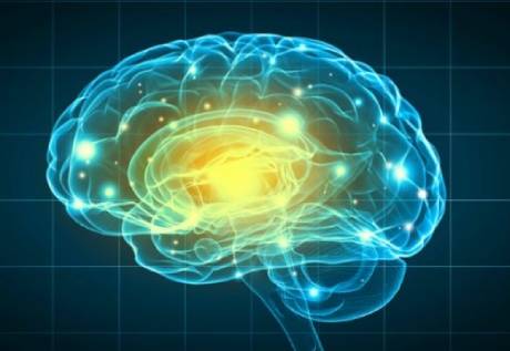 AMULYN Soy Lecithin Granules For Health Food-Brain