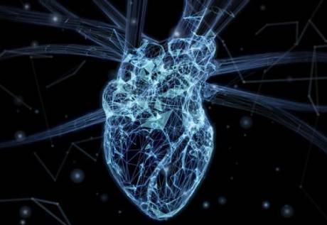 AMULYN Soy Lecithin Granules For Health Food-Angiography