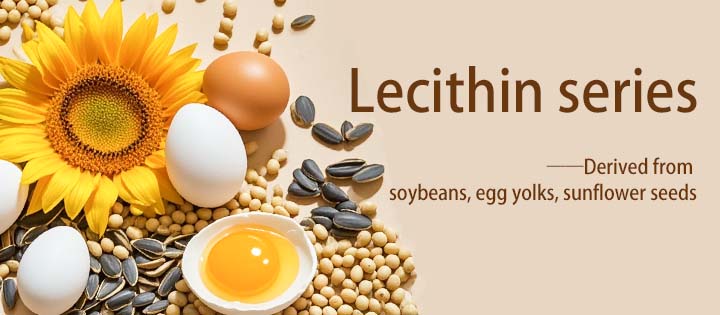 What You Need to Know About Lecithin | AMULYN