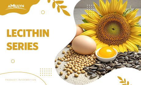 What You Need to Know About Lecithin