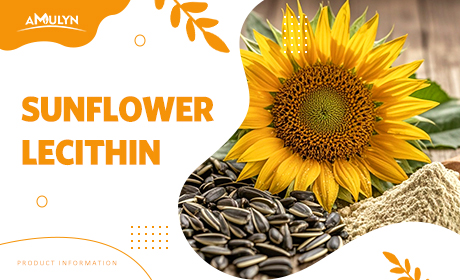 Discover What Sets Sunflower Lecithin Apart