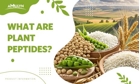 Do You Know Vegan Protein Peptides/Plant Protein Peptides?