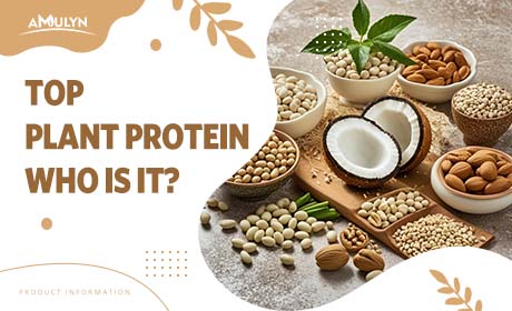 What Is The Top Plant Protein? A New Choice For Your Healthy Life!