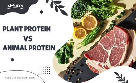 Plant Protein VS Animal Protein - Which One Is Right For You?