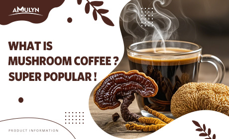 Super Popular! Mushroom Coffee---What Is Mushroom Coffee: Healthy Coffee?