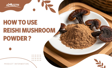 Do You Know What Reishi Mushroom Extract Is And How To Use It?
