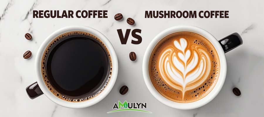 AMULYN Mushroom Coffee VS Regular Coffee