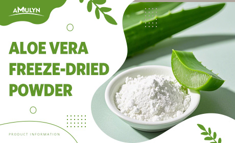 Do You Know Aloe Vera? ——Exploring Natural Skin Hydrating Ingredients