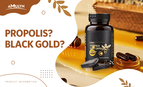 What Are The Benefits Of Propolis? 