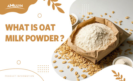 What Is Oat Milk Powder? Why Does Oat Milk Powder Stand Out In The Milk Powder Market?