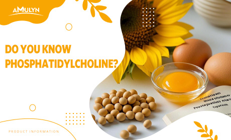 Do You Know Phosphatidylcholine? Let’S Explore It!