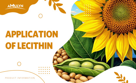 Do You Know The Application Of Lecithin?