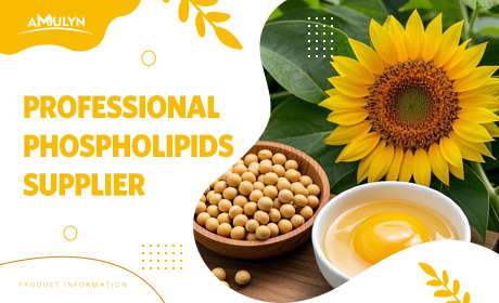Phospholipid Supplier: AMULYN Provides High-Quality Phospholipid Raw Materials