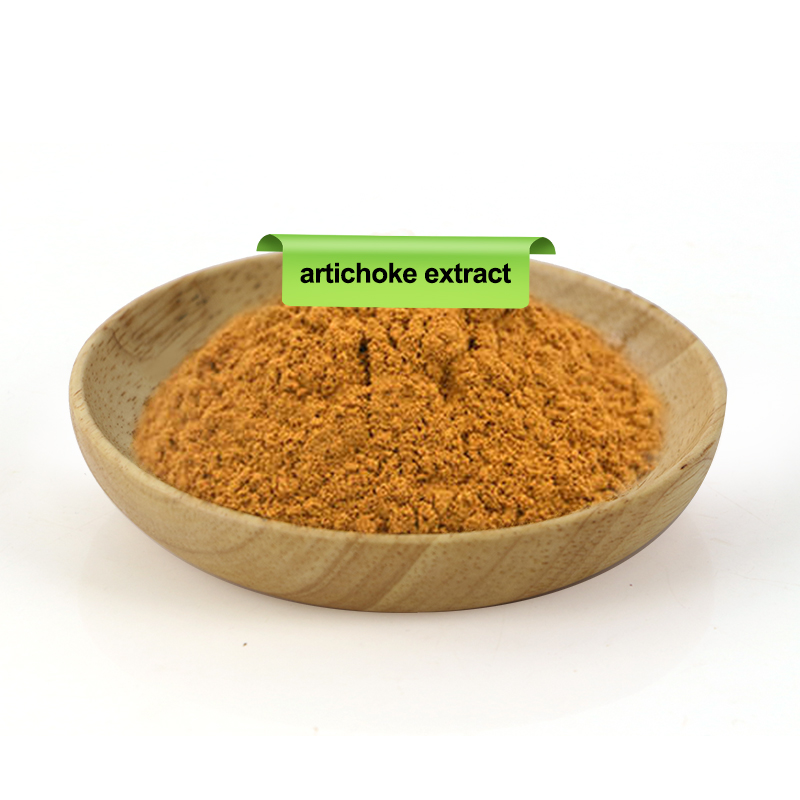 Artichoke Extract