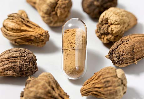 AMULYN Maca Powder Extract For Capsules