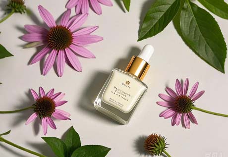 AMULYN Echinacea Extract For Lotion