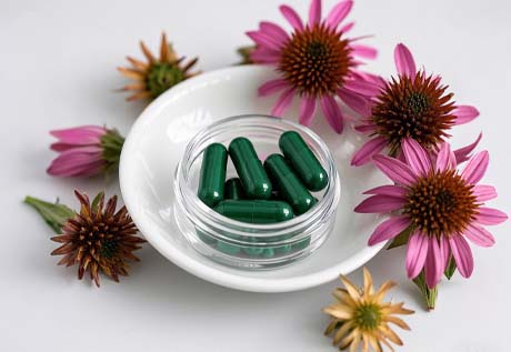 AMULYN Echinacea Extract For Capsules