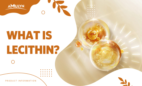 The Ultimate Guide to Lecithin, Let You Know More About Lecithin!
