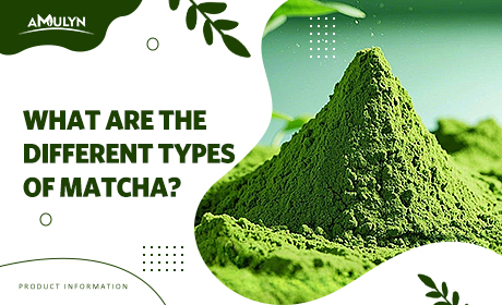 What are The Different Types of Matcha?
