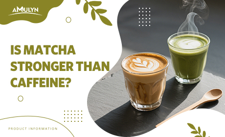 Matcha vs. Coffee: Which Packs a Stronger Caffeine Punch?