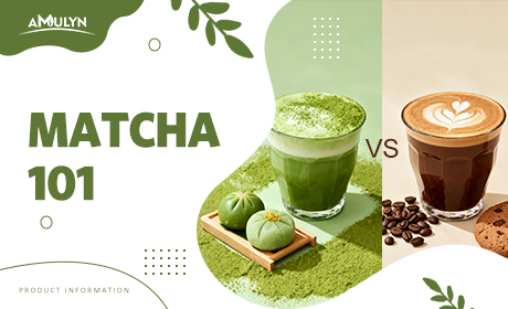 Matcha 101: What It Is, Why It's Better Than Coffee