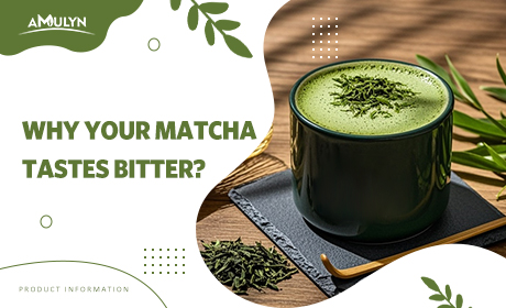 Why Your Matcha Tastes Bitter - The Complete Guide