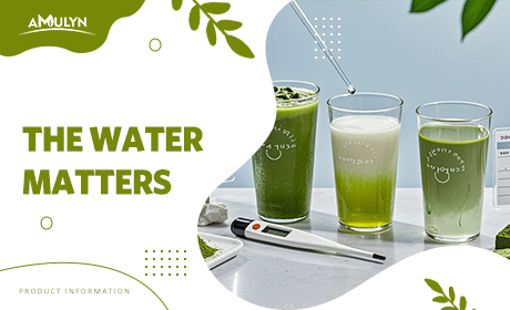The Water Matters: How Temperature & Mineral Content Transform Your Matcha Taste