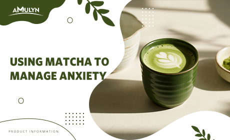A Cup of Calm: Using Matcha to Manage Anxiety - A Personal Experiment
