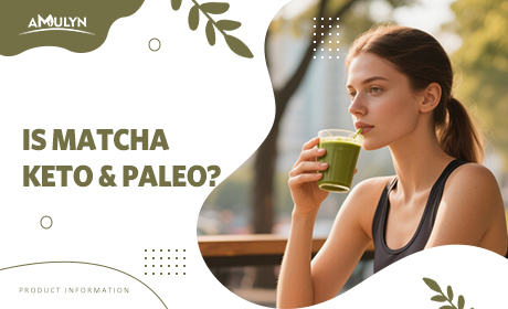 Is Matcha Keto & Paleo? Your Guide to Sipping Matcha on a Special Diet