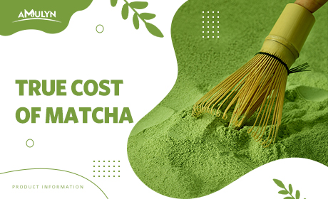 The True Cost of Matcha: Why Price per Gram Isn't the Whole Story for Your Business.