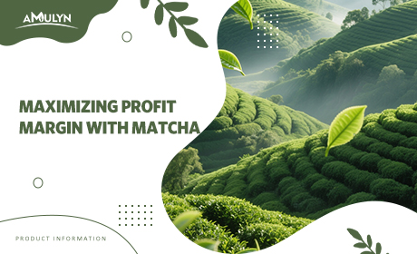 Maximizing Profit Margin with Matcha: Costing and Pricing Strategies for Cafés