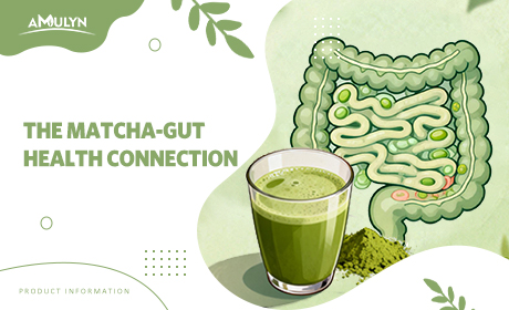 The Matcha-Gut Health Connection: How This Green Powder Supports Your Microbiome