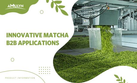 Innovative B2B Applications: Incorporating Matcha into Savory Dishes, Cocktails, and Baked Goods