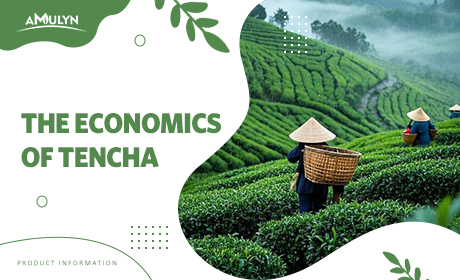 The Economics of Tencha: Understanding the Pre-Matcha Leaf and Its Impact on Your Final Product's Cost and Flavor