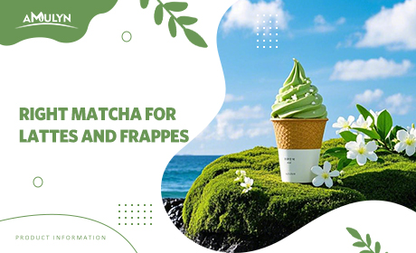 The Culinary Grade Sweet Spot: Choosing the Right Matcha for Lattes and Frappes Without Sacrificing Taste.