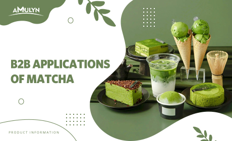 Beyond Lattes: Innovative B2B Applications of Matcha in Confectionery, Snacks, and RTD Beverages