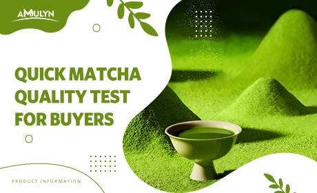 Quickly test Matcha quality: an easy identification method essential for B2B buyers (color, fineness, and suspension tests).