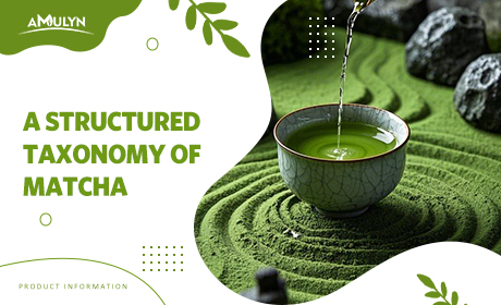 A Structured Taxonomy of Matcha: Classification by Grade, Region, Oxidation Level, and Application.